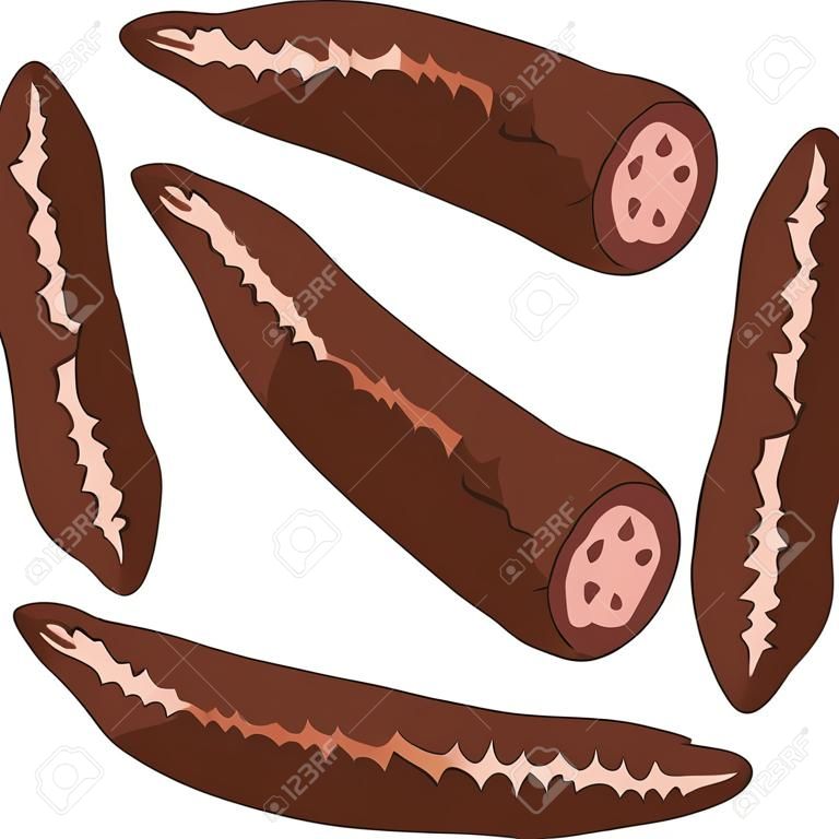 Blood sausage, butifarra, hand drawn cartoon vector illustration.