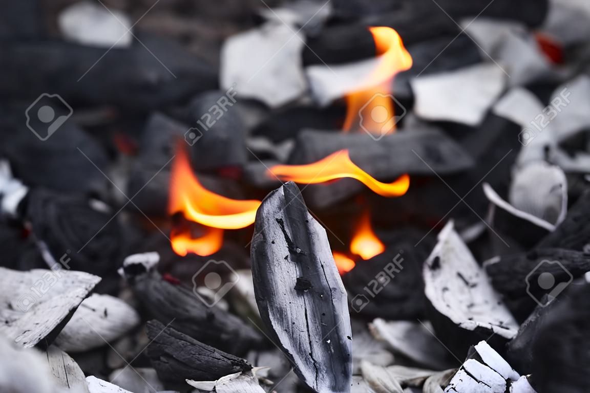 charbon de bois avec le feu