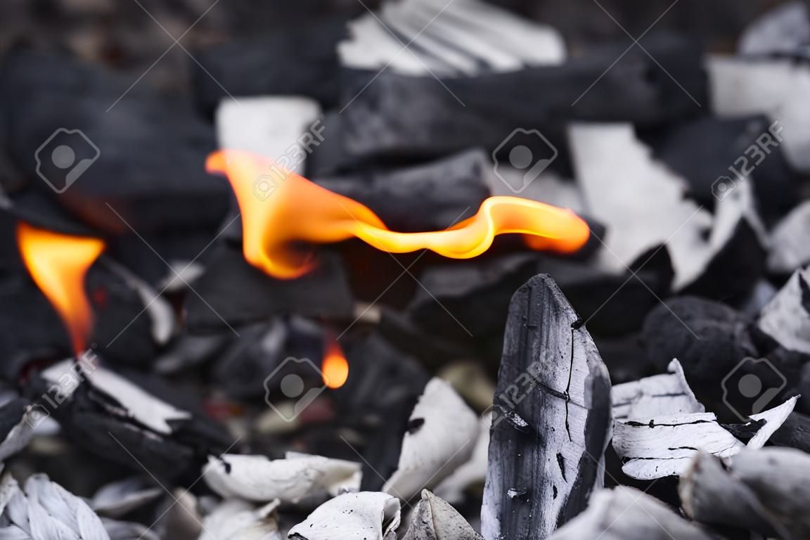 charbon de bois avec le feu