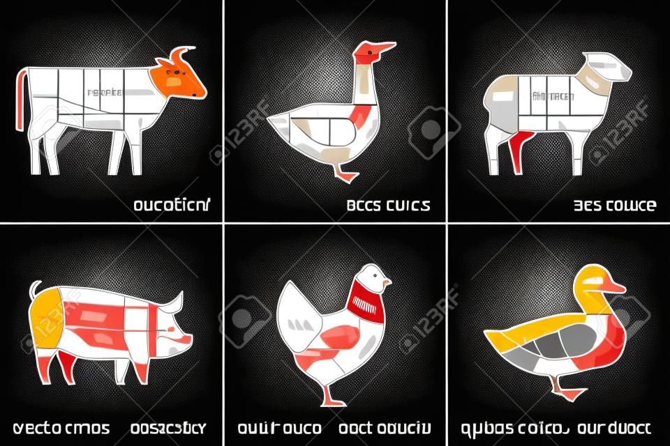 Vector illustration of meat cutting of farm animals bull, goose, sheep, pigs, chicken and ducks for butchers shop or restaurant menu.