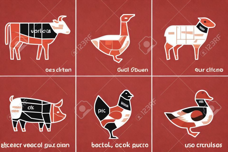 Ilustracja wektorowa cięcia mięsa zwierząt gospodarskich byka, gęsi, owiec, świń, kurczaków i kaczek dla menu sklepu mięsnego lub restauracji.