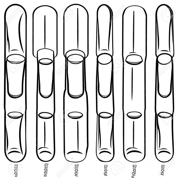 Différentes formes d'ongles - Ongles mode Tendances. Vector illustration.