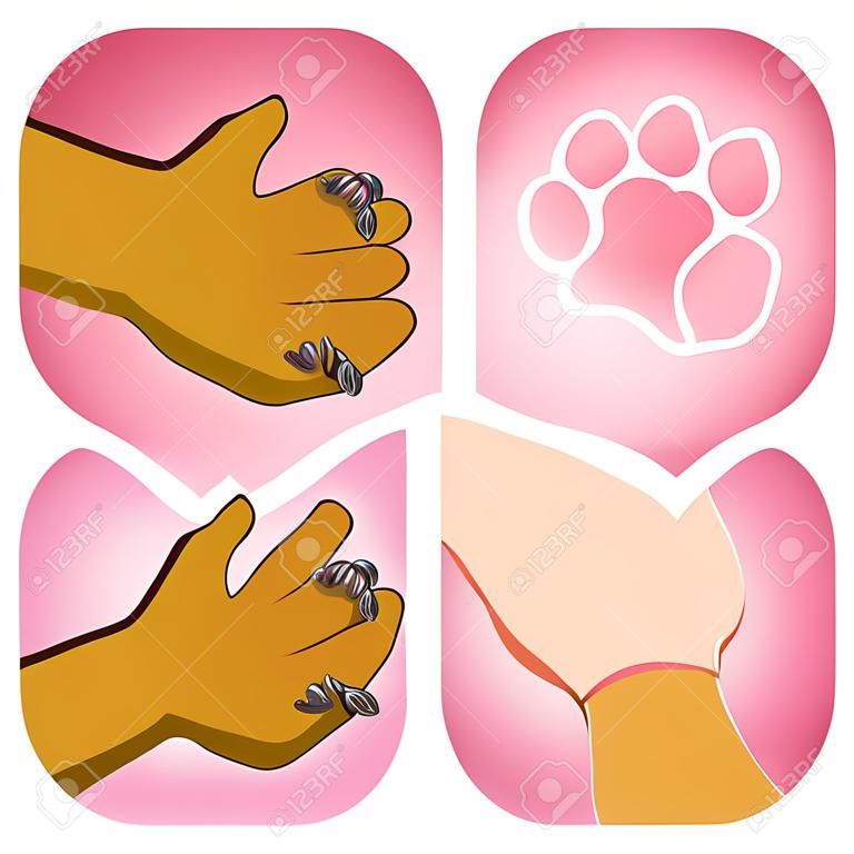 Illustration human hand holding a paw, heart, Caucasian. Ideal for catalogs, informative and veterinary institutional materials