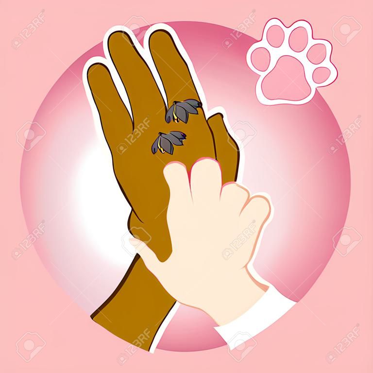 Illustration main humaine tenant une patte, coeur, de race blanche. matériaux institutionnels Idéal pour catalogues, informatifs et vétérinaires