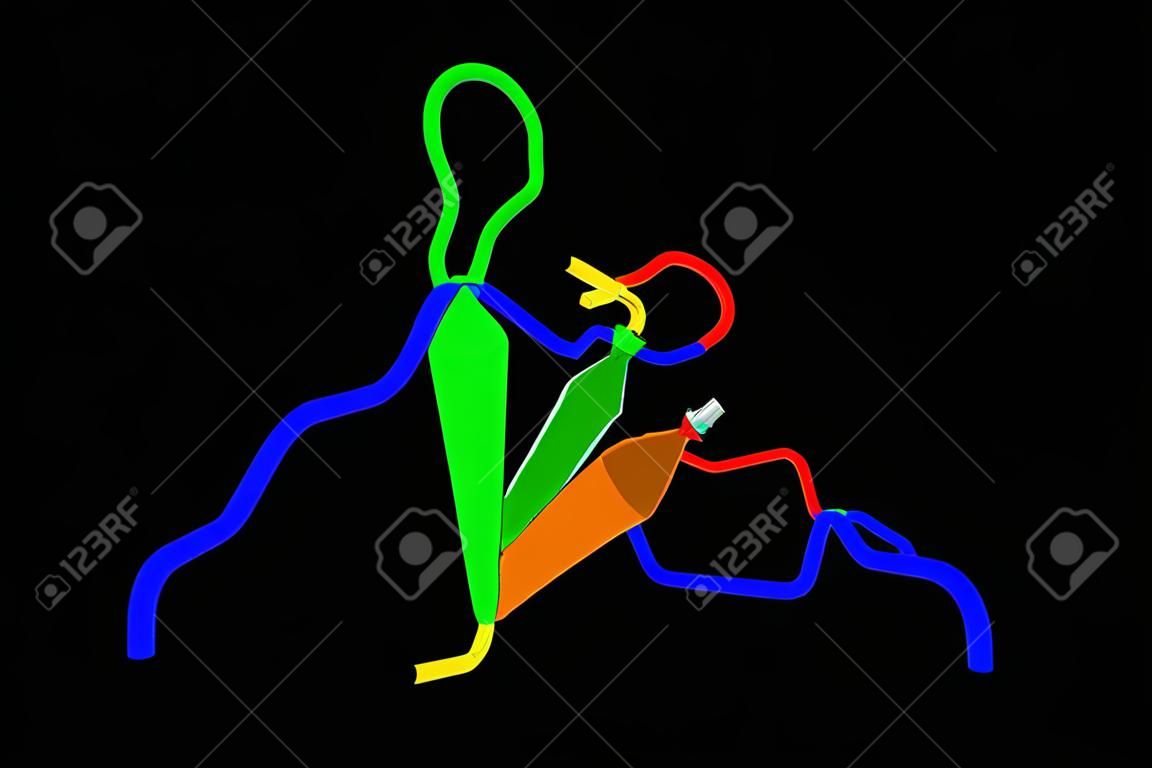 Las proteínas tau (estructura 3D se muestra) estabilizan los microtúbulos. Abundante en las neuronas del sistema nervioso central, que estabilizan los microtúbulos en las dendritas.