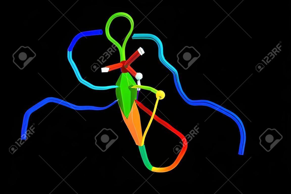 Las proteínas tau (estructura 3D se muestra) estabilizan los microtúbulos. Abundante en las neuronas del sistema nervioso central, que estabilizan los microtúbulos en las dendritas.