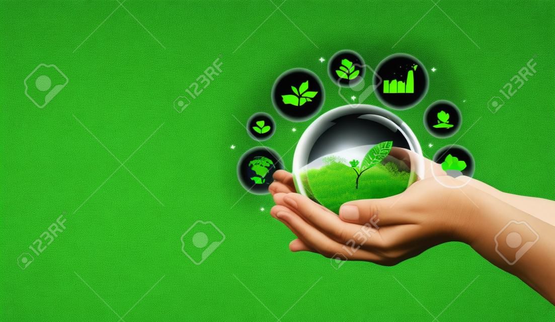 Menschliche Hand mit grünem Umweltbaum ESG-Symbol Gesellschaft und Governance nachhaltiges Umweltkonzept der Welt