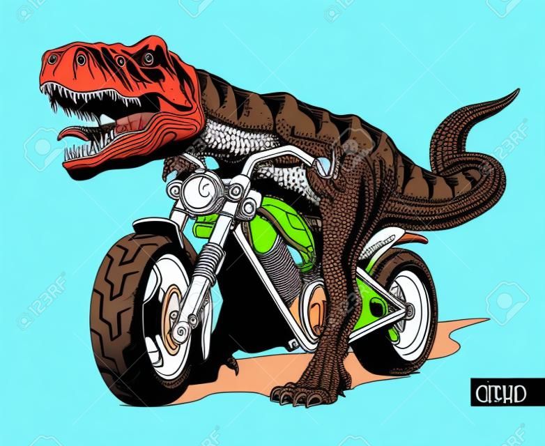 Tyrannosaurus Rex riding a classic chopper or bobber motorcycle. Vector illustration.