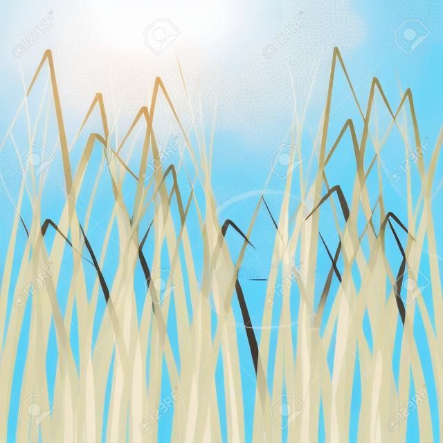 Leafs under the Sunshine among blue sky.  Illustration