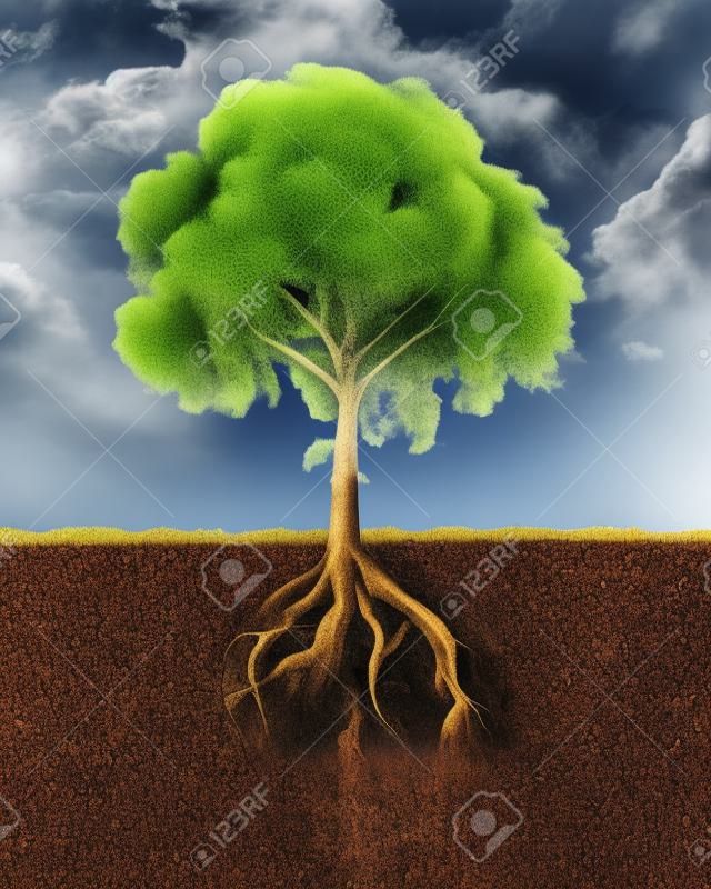 Seção transversal do solo mostrando uma árvore com suas raízes Grama na superfície e nuvens fofas céu no fundo