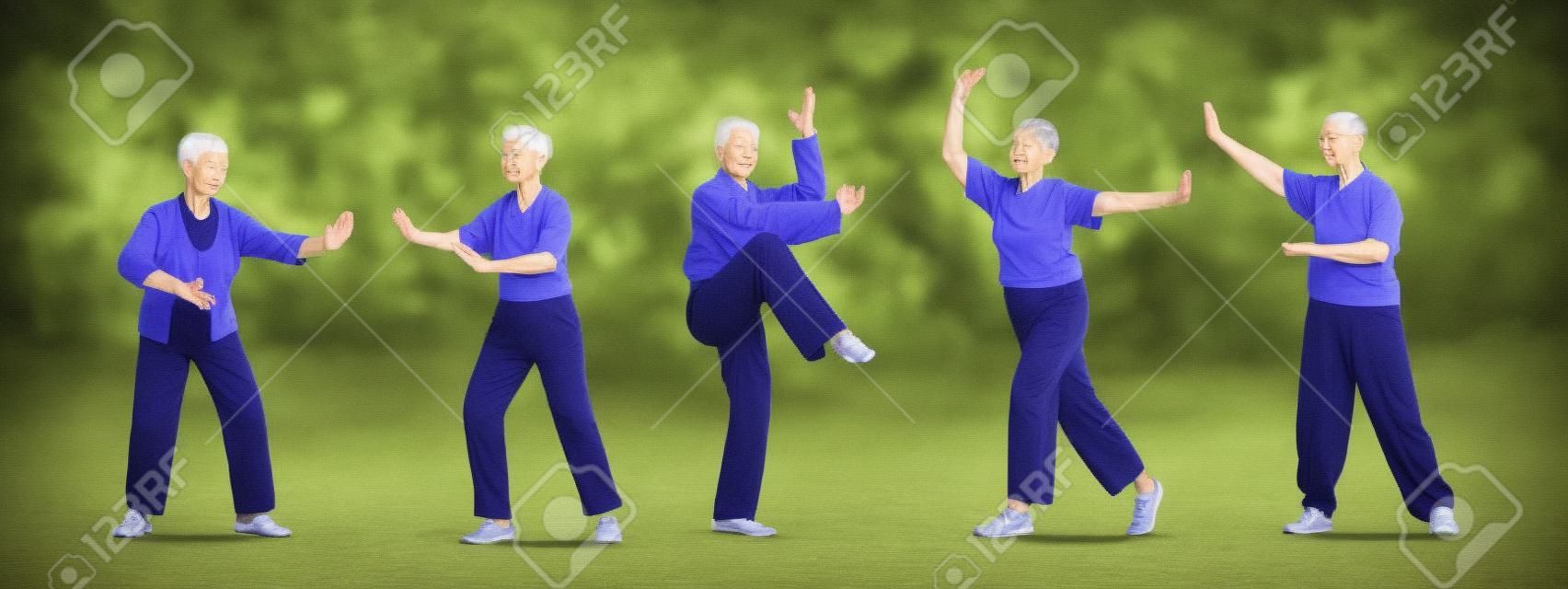 Set Seniors Make Tai Chi Exercising Outdoors. Pensioners Morning Workout at City Park, Group Classes for Elderly People
