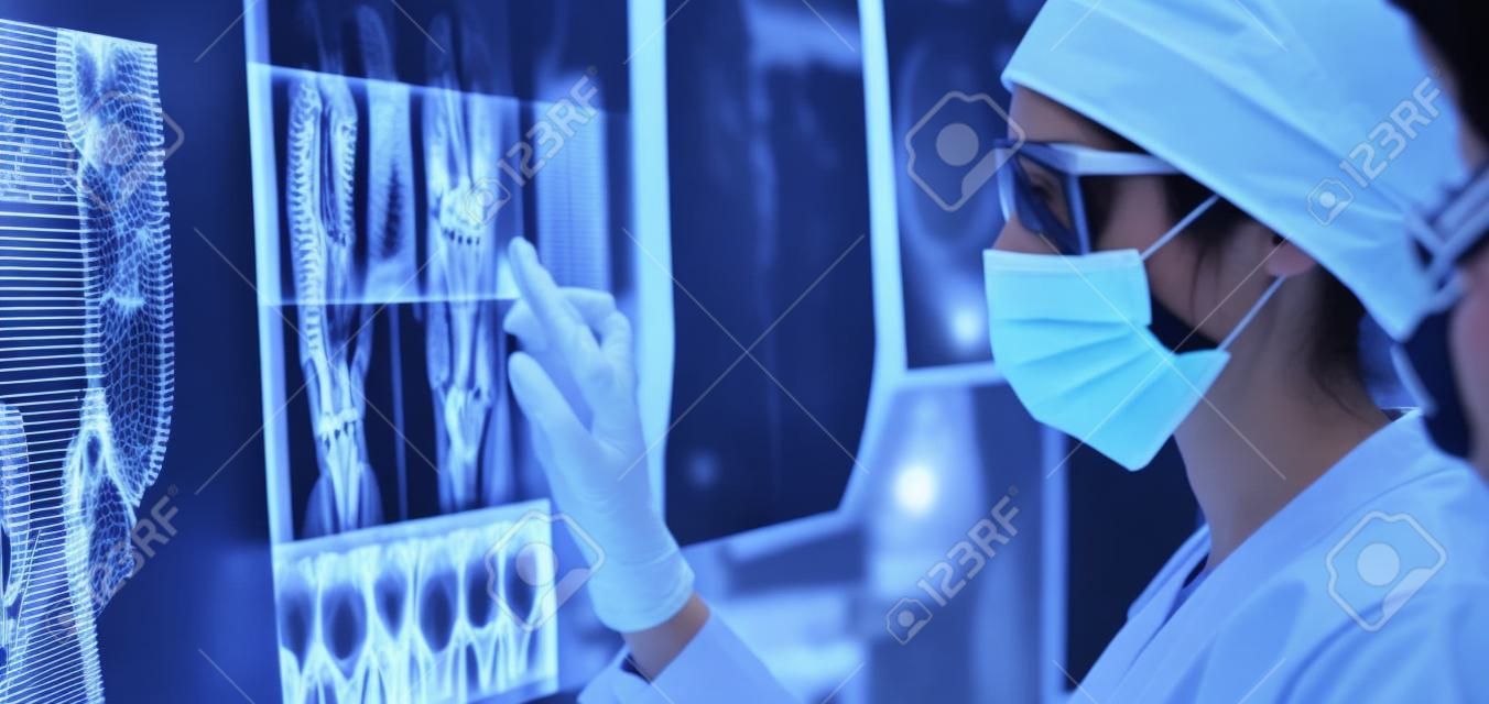 Dwie kobiety-lekarki oglądające zdjęcia rentgenowskie w szpitalu
