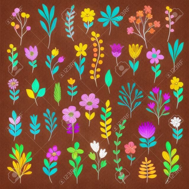 Colorful collezione floreale con foglie e fiori