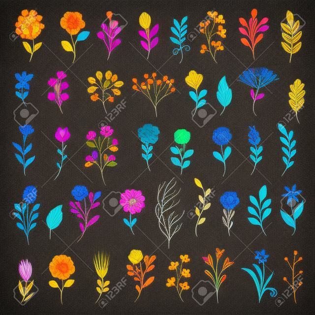 Kleurrijke bloemencollectie met bladeren en bloemen