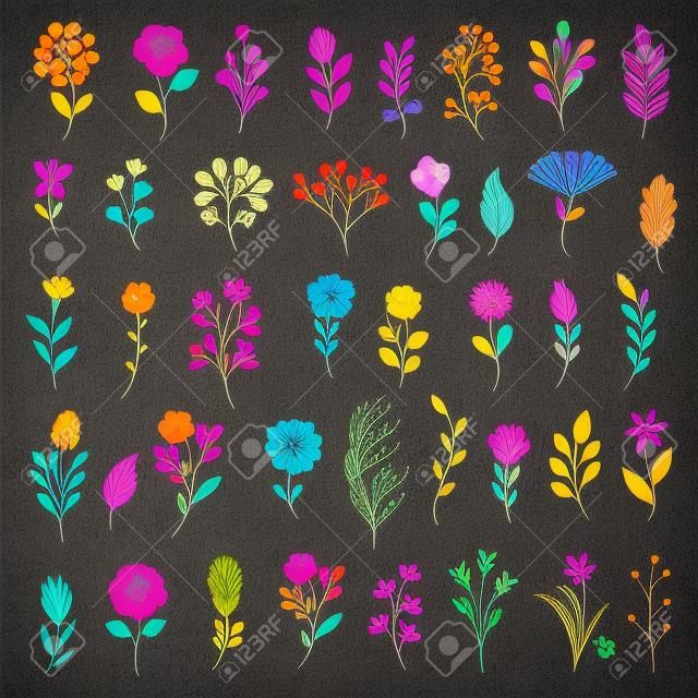 Kleurrijke bloemencollectie met bladeren en bloemen