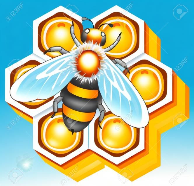 abeja de trabajo en células de la miel del vector EPS 10