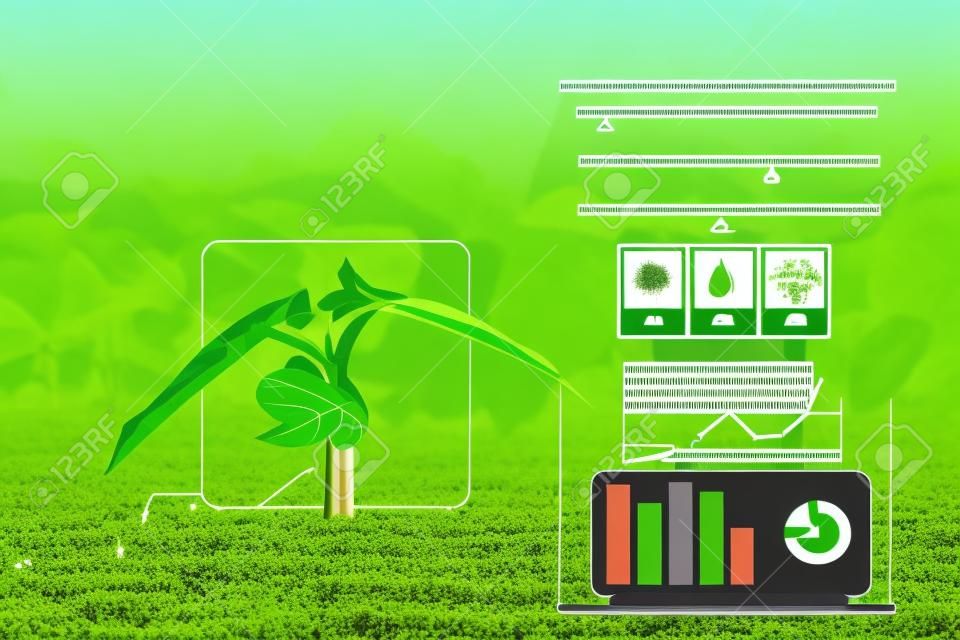 Tecnología agrícola digital inteligente para controlar el crecimiento de plantas germinadas con ciberespacio infográfico. Tecnología de innovación para la agricultura.