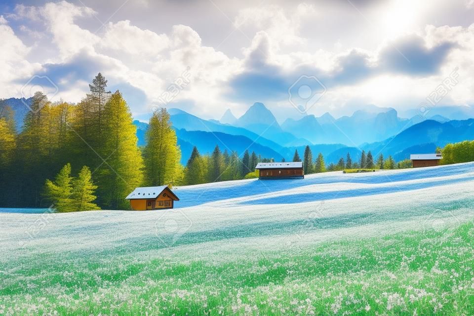 Beautiful alpine countryside on a sunny day in the springtime. Location place of famous resort Garmisch-Partenkirchen, Kaltenbrunn, Bavarian alps, Germany, Europe. Discover the beauty of earth.