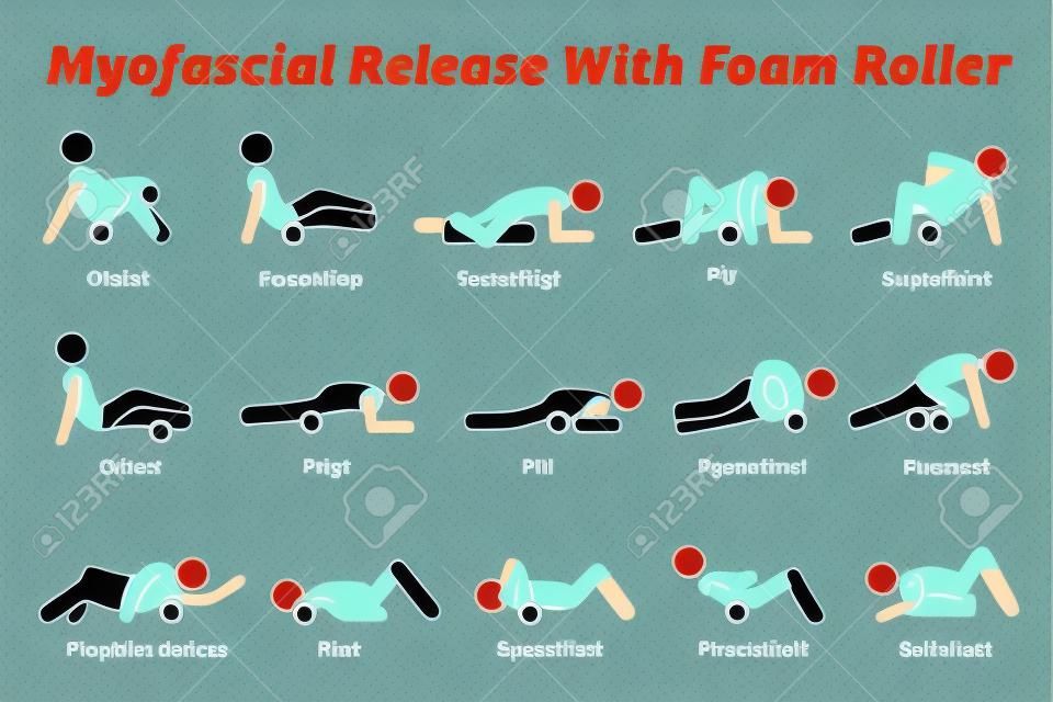 Myofascial release with foam roller physical therapy techniques for different body parts. Vector illustrations pictogram of myofascial release workout exercise by rolling the body with a foam roller.