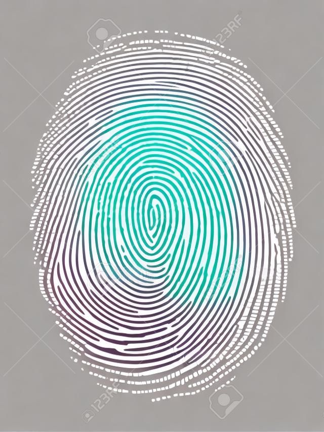 指紋識別的矢量插圖孤立在透明背景
