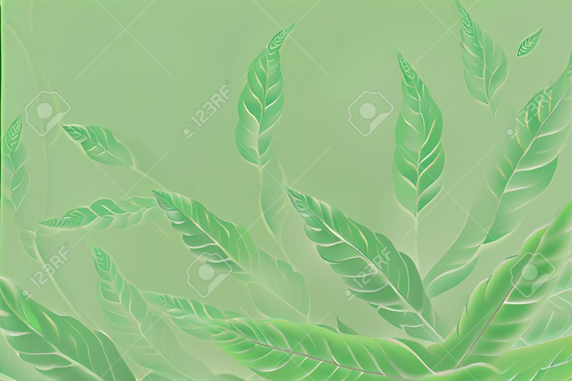 Abstract green background with leaf. Light green background.