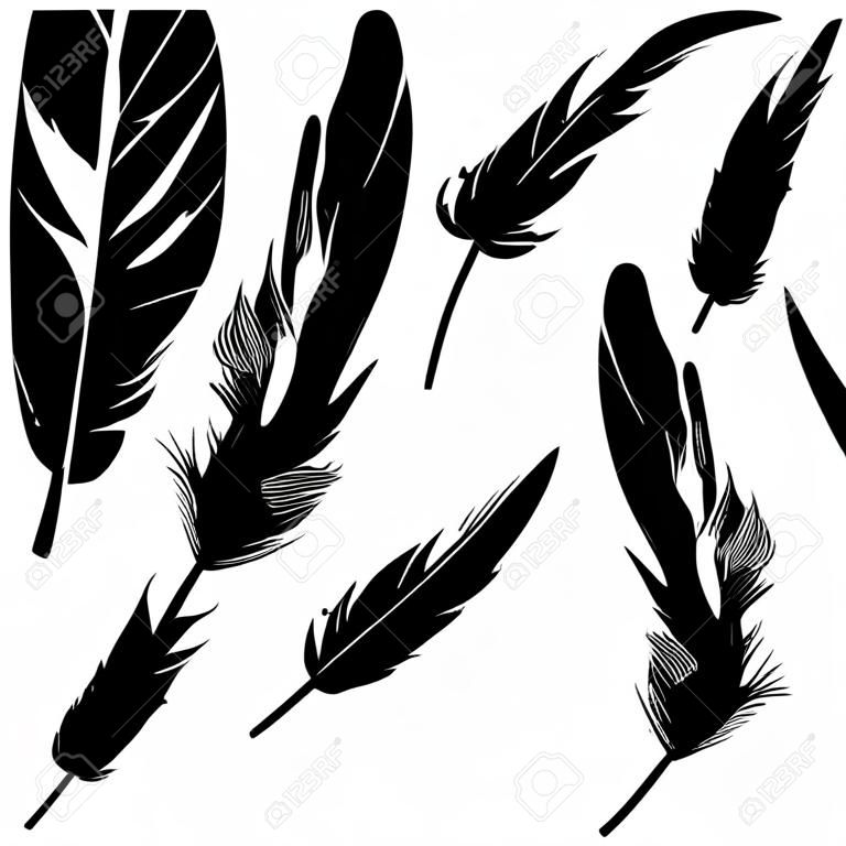 Vector illustrations of various bird feathers in grunge style.