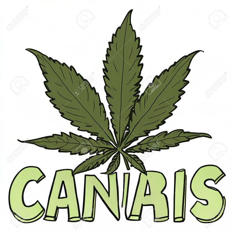 Doodle estilo cannabis marihuana hoja boceto en formato vectorial Incluye texto y planta de maceta