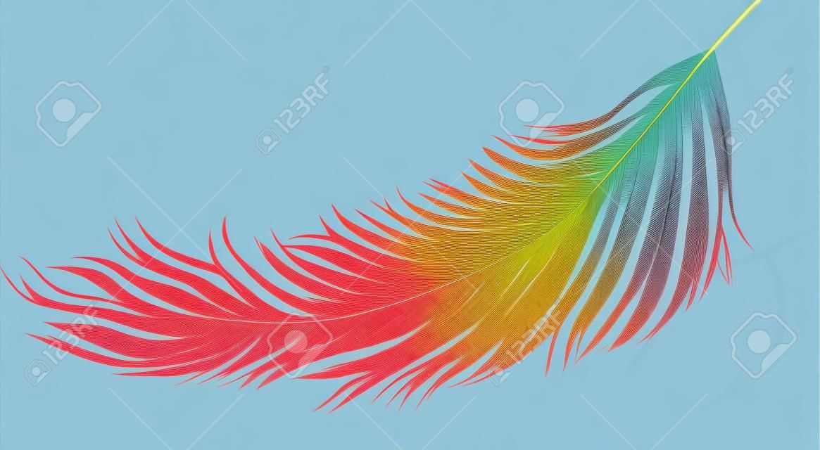 A imagem vetorial de uma pena de pássaro colorida.