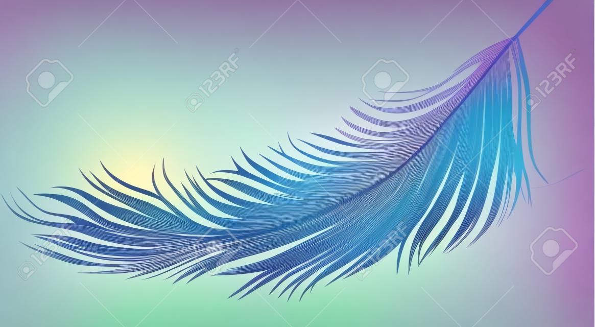 L'image vectorielle d'une plume d'oiseau colorée.