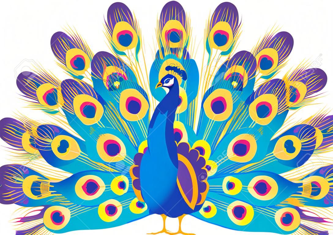 The vector image of a blue decorative peacock.