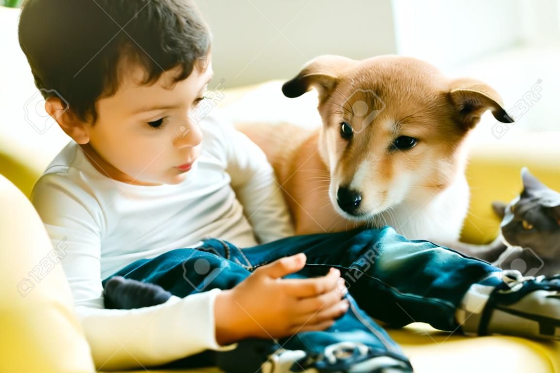 очаровательный мальчик сидит на диване с кошкой и собакой