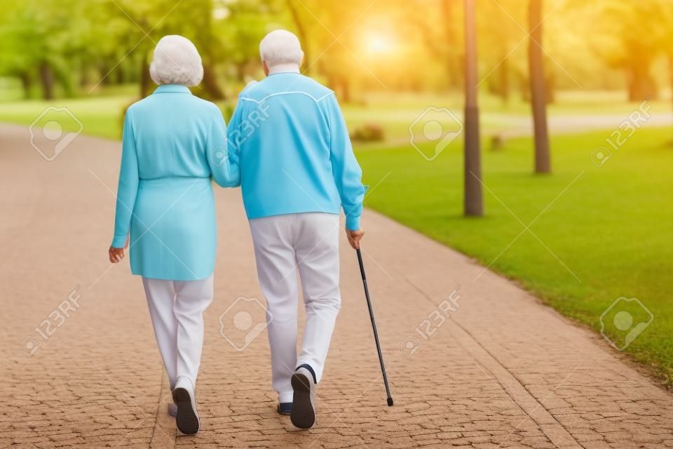 back view of senior couple walking in park