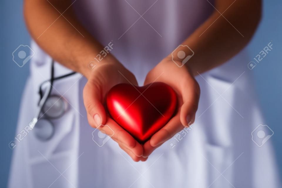 Przycięty widok lekarza trzymającego czerwone serce