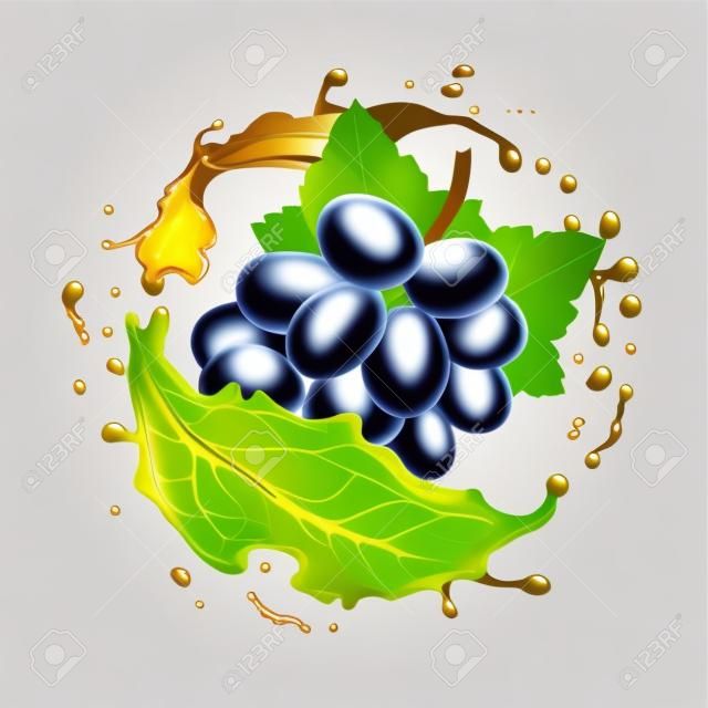 White grapes branch and juice splash. Realistic vector icon