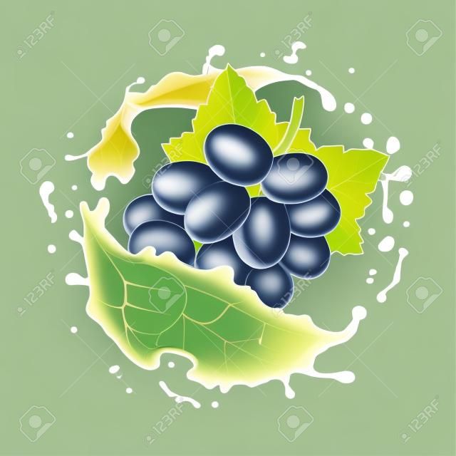 White grapes branch and juice splash. Realistic vector icon
