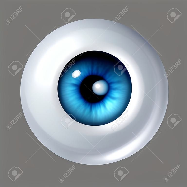 Single blue human eye ball with iris and retina lense representing the organ of sight and the medical profession of optometry to see if eye glasses or conytact lenses are medicaly prescribed.
