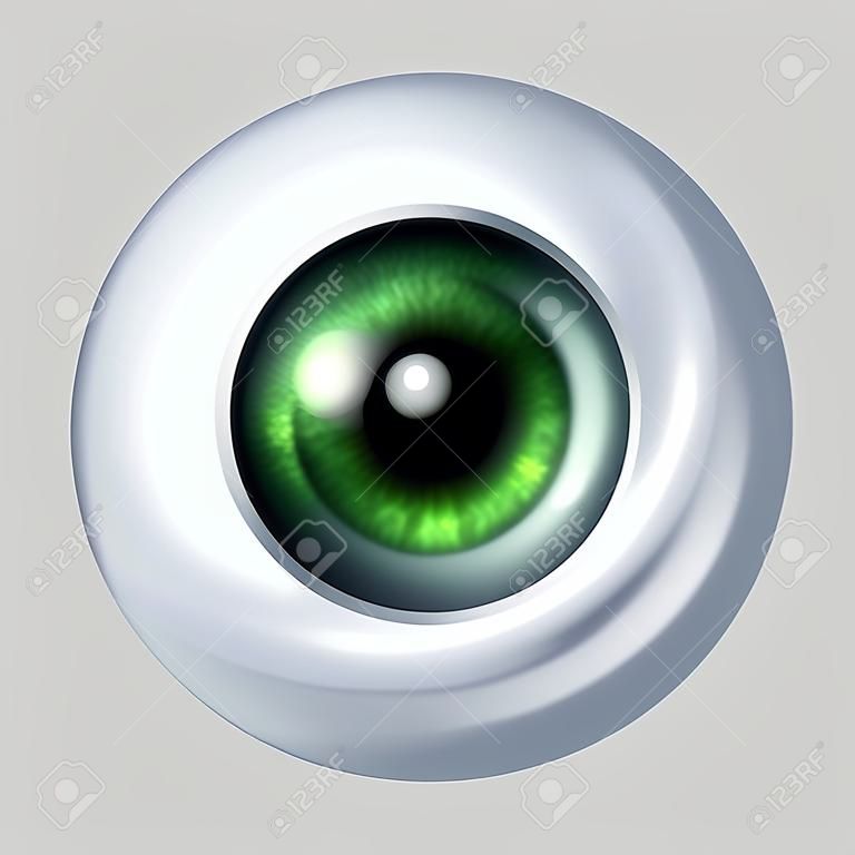 Human green eye ball organ with iris and retina lens representing the body part of sight and the medical profession of optometry to see if eye glasses or contact lenses are medically prescribed.