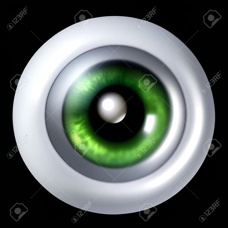 Human green eye ball organ with iris and retina lens representing the body part of sight and the medical profession of optometry to see if eye glasses or contact lenses are medically prescribed.