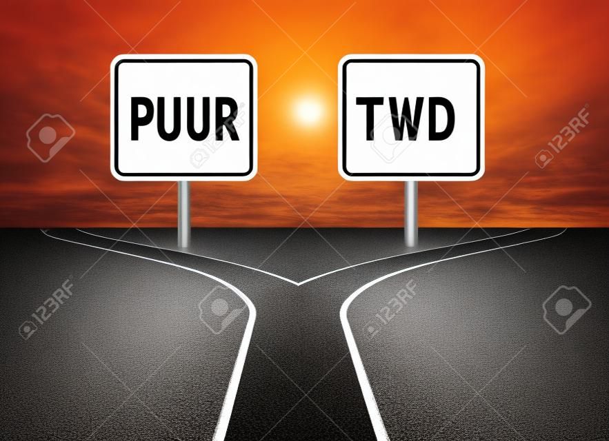 Deux options avec les panneaux routiers vierge face à un symbole de décision défi représenté par une route fourchue pour tourner dans le sens qui est choisi après avoir fait face au dilemme difficile.
