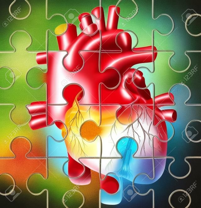 人的心脏问题——一个缺块拼图的概念