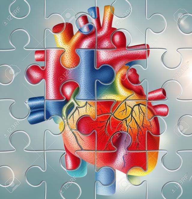 人的心脏问题——一个缺块拼图的概念