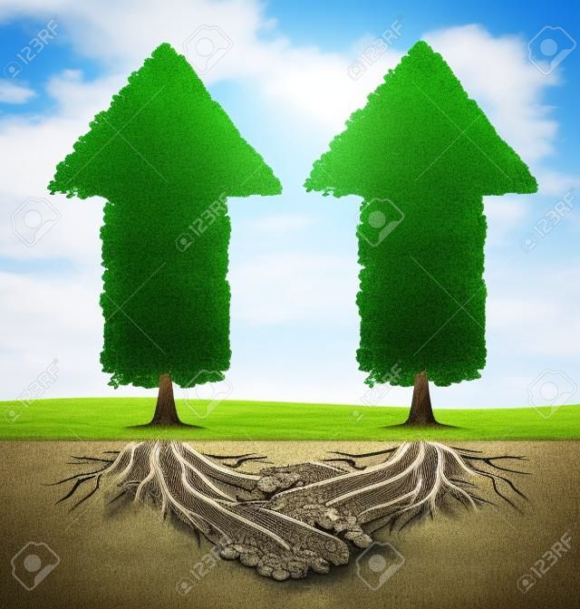 La croissance de partenariat d'entreprises comme une icône de la coopération financière entre deux partenaires que les arbres en forme de flèches et de croissance des racines des plantes en forme de poignée de mains résultant de la réussite