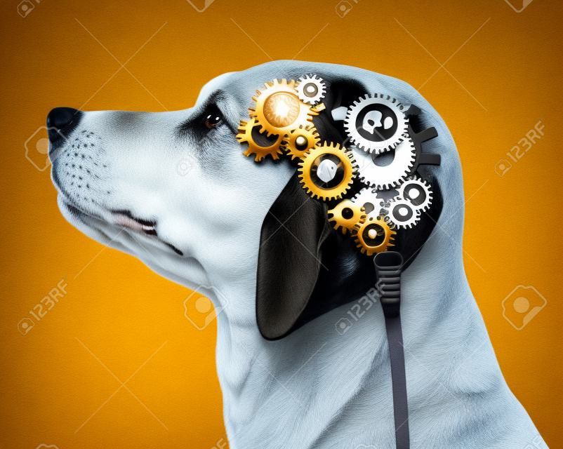 Perro inteligencia y animal símbolo de capacitación para el cuidado de mascotas de la salud mental como un concepto con una vista lateral canino de la cabeza con engranajes y dientes en forma de un cerebro como un icono de los servicios veterinarios