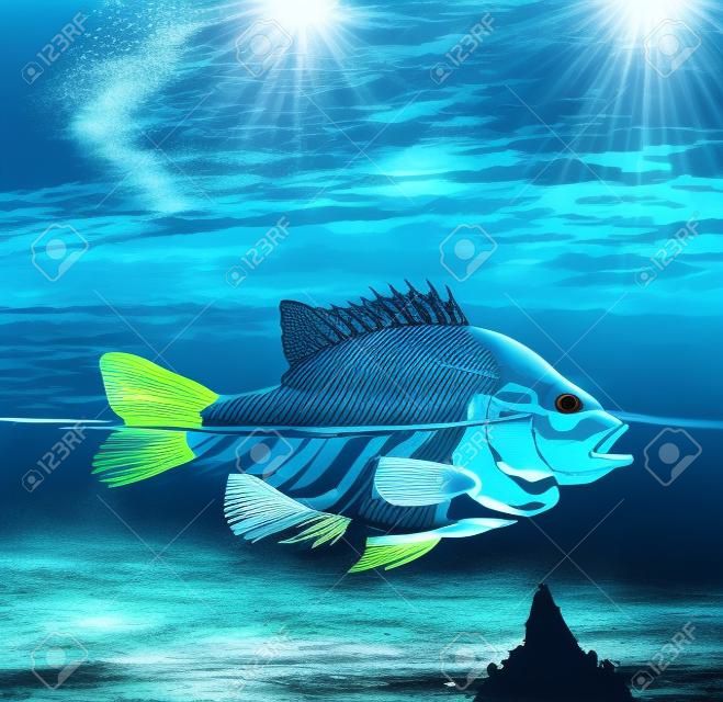 La contaminación del agua y el concepto de océano contaminado como un pez con la mitad del cuerpo bajo el agua como un esqueleto para las preocupaciones ambientales y de conservación