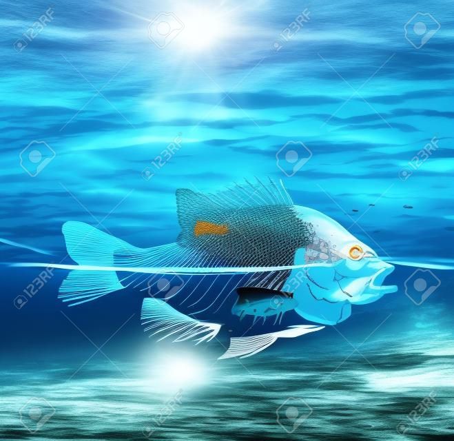 La contaminación del agua y el concepto de océano contaminado como un pez con la mitad del cuerpo bajo el agua como un esqueleto para las preocupaciones ambientales y de conservación