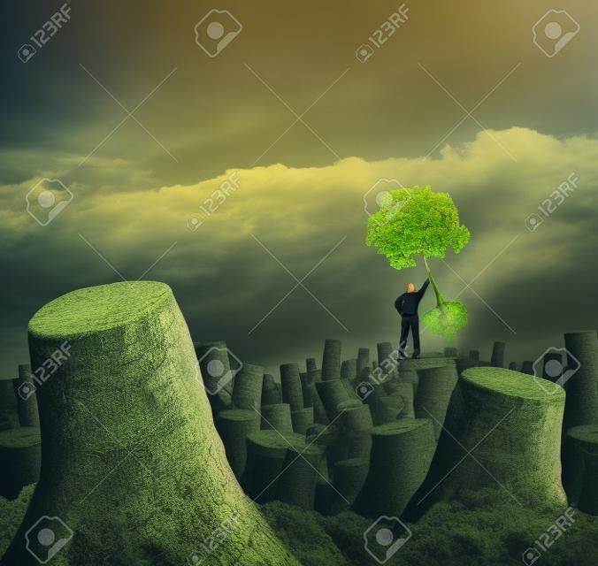災​​難應變計劃的概念作為一個人站在山上死森林砍樹拿著一個健康年輕的綠色樹苗，作為未​​來增長的成功信心，經濟復甦和信心願景的象徵。