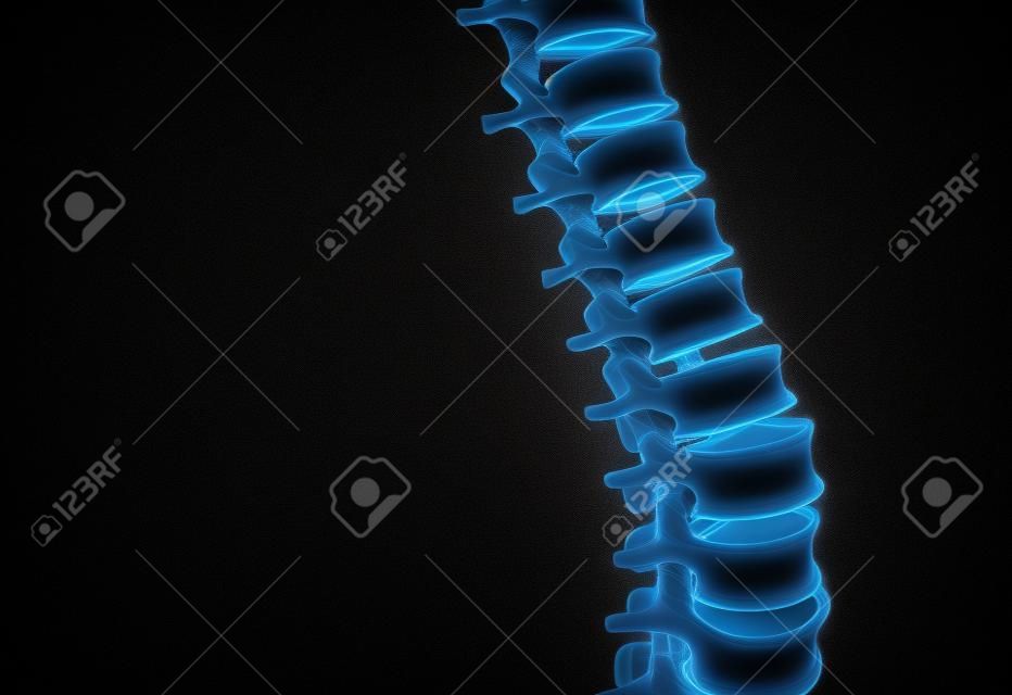 Skeletal human spine and vertebral column or intervertebral discs on a dark background as a medical concept as a 3D illustration.