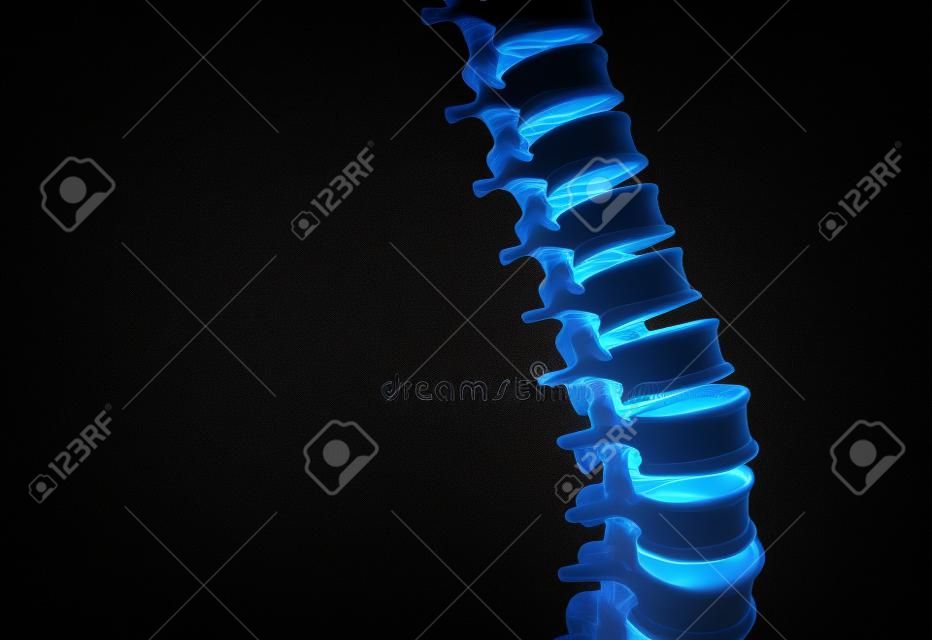 Espinha humana esquelética e coluna vertebral ou discos intervertebrais em um fundo escuro como um conceito médico como uma ilustração 3D.
