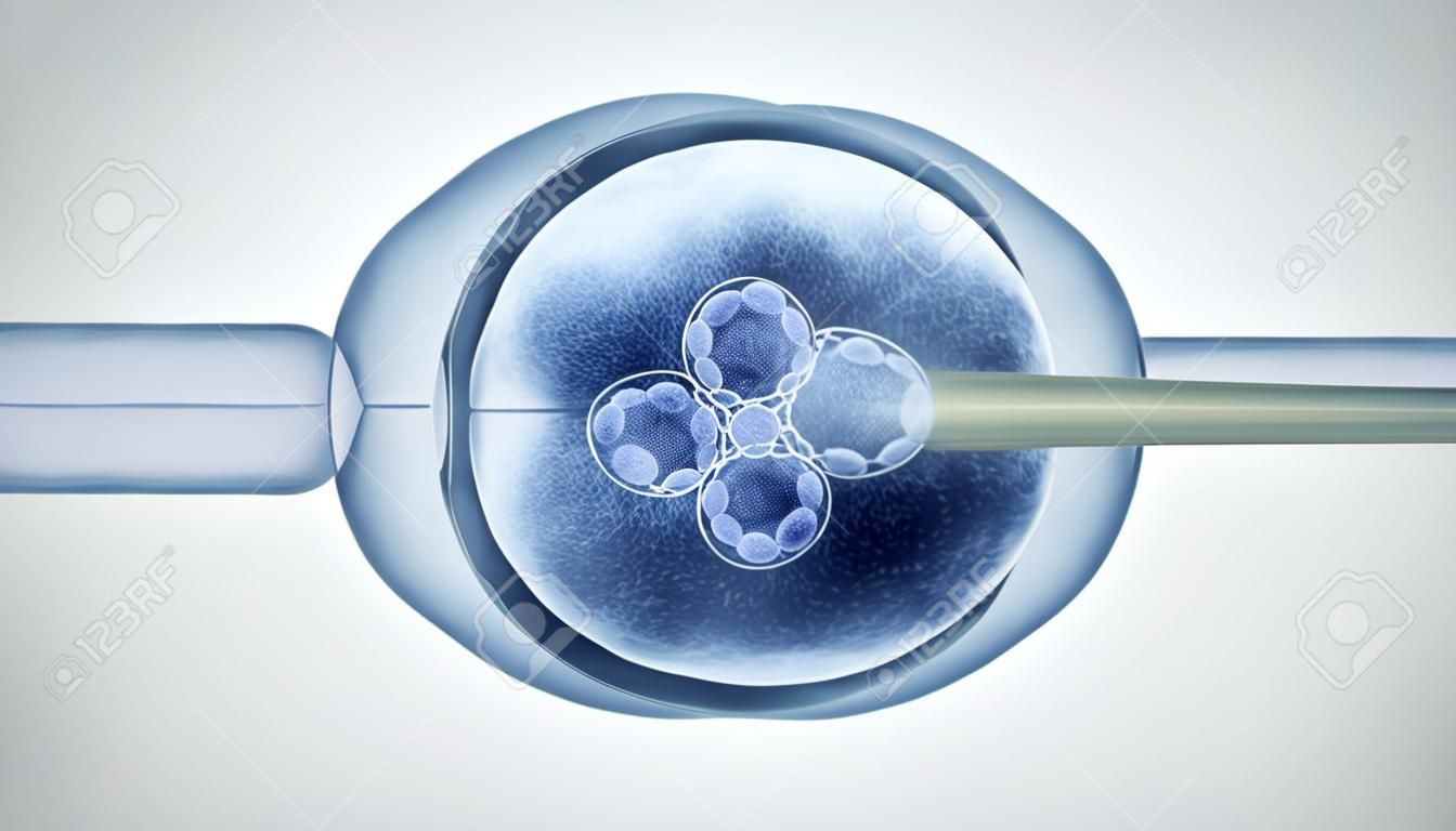 受精したヒト卵胚と分裂細胞のグループを3Dイラストとして、VITRO CRISPRゲノム工学医療バイオテクノロジーヘルスケアコンセプトにおける遺伝子編集および遺伝子研究。