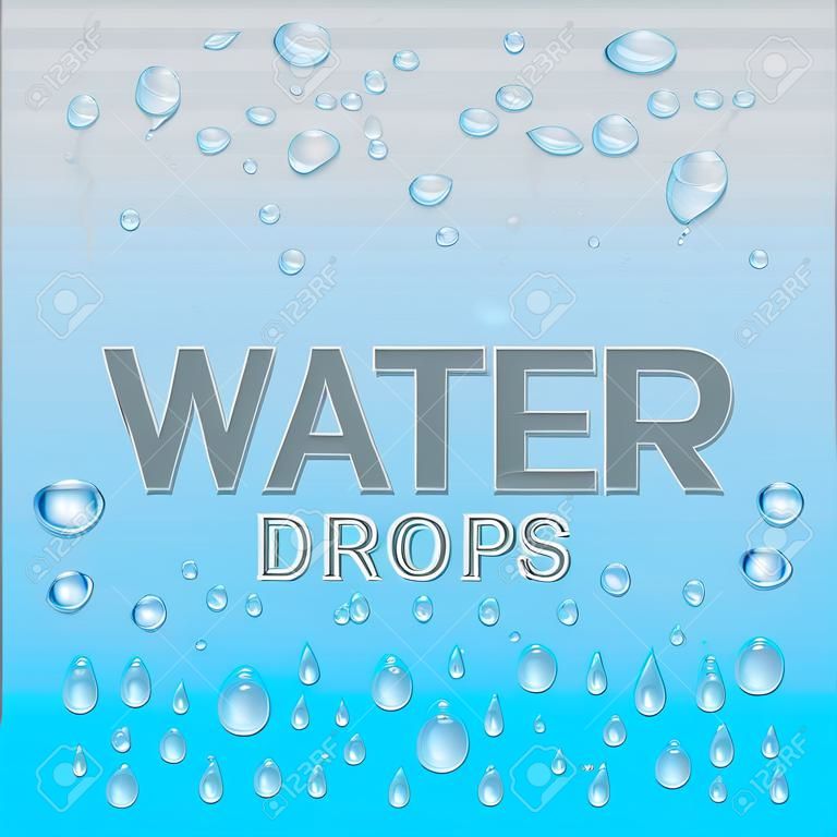 Realistic drops of water on a transparent background. Vector.